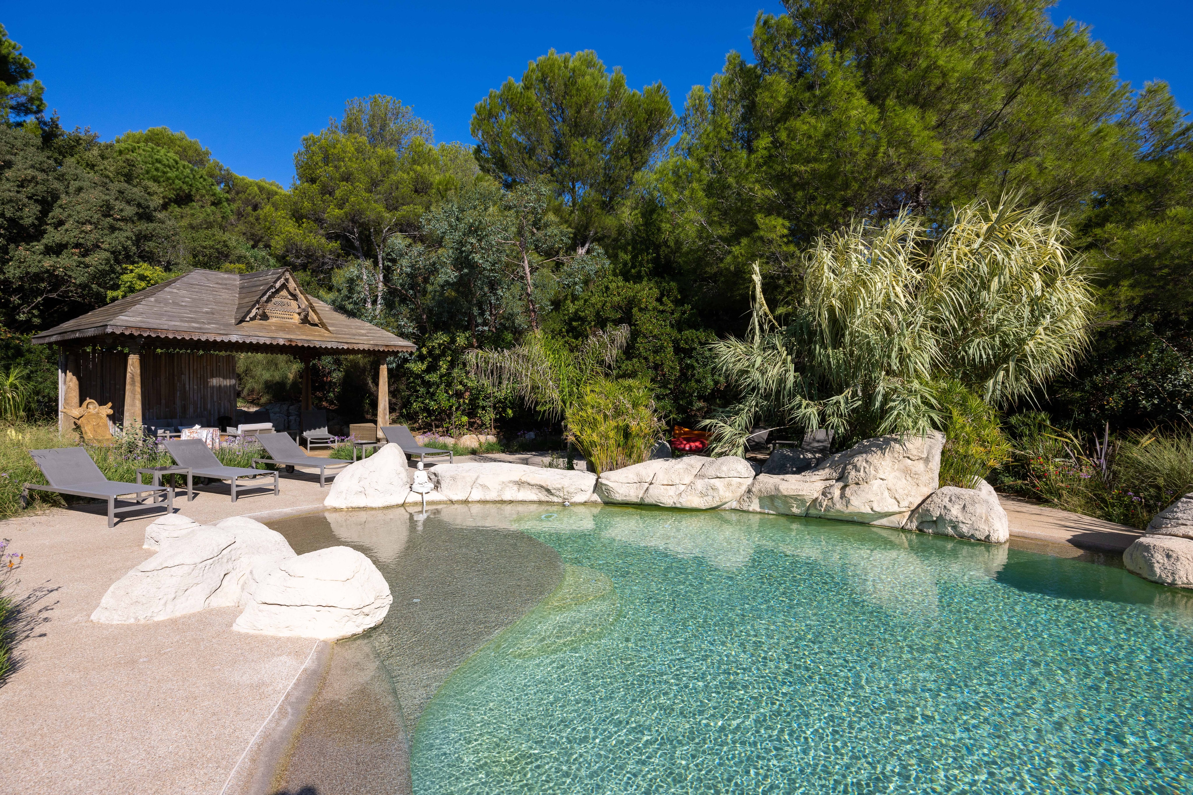 Piscine entre pins et lavande