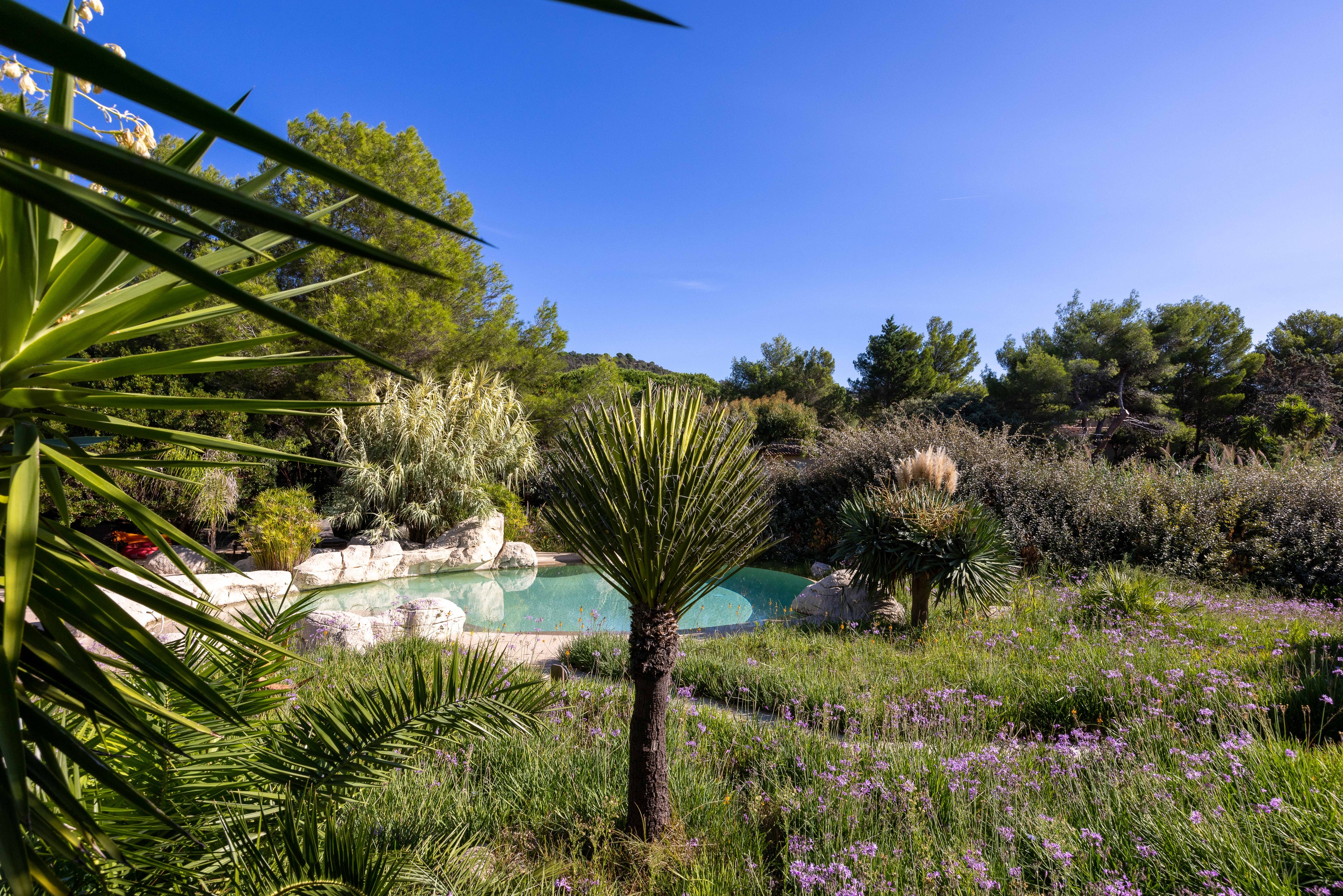 Masse mediterraneenne